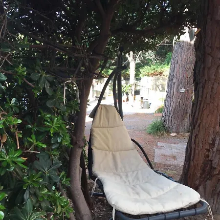 Cornelia * Читтаделла-дель-Капо